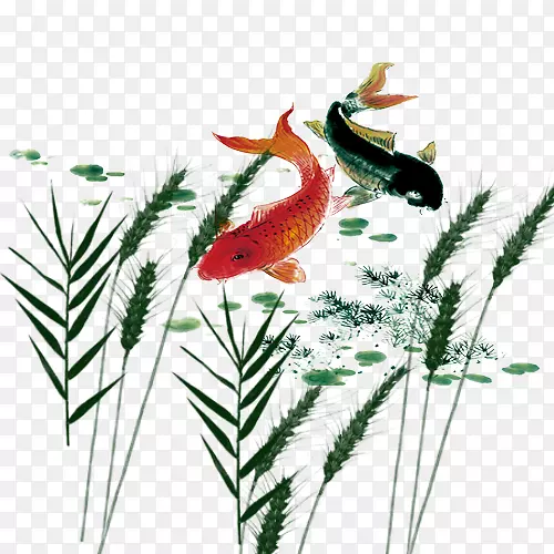 ��������-������ˮ����Ӿ-������