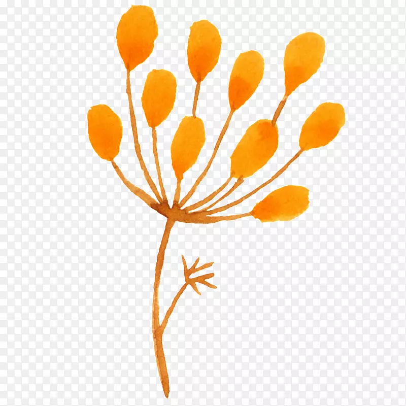 ˮ�ʻ�.ˮ��ֲ��-������