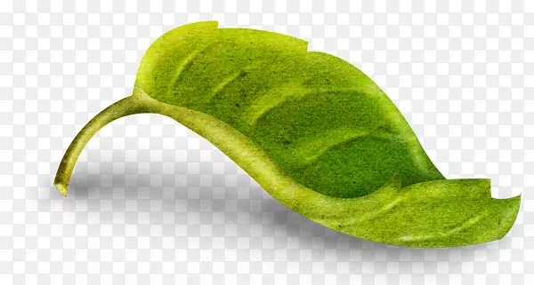 ��ӰҶ������-Ҷ-������