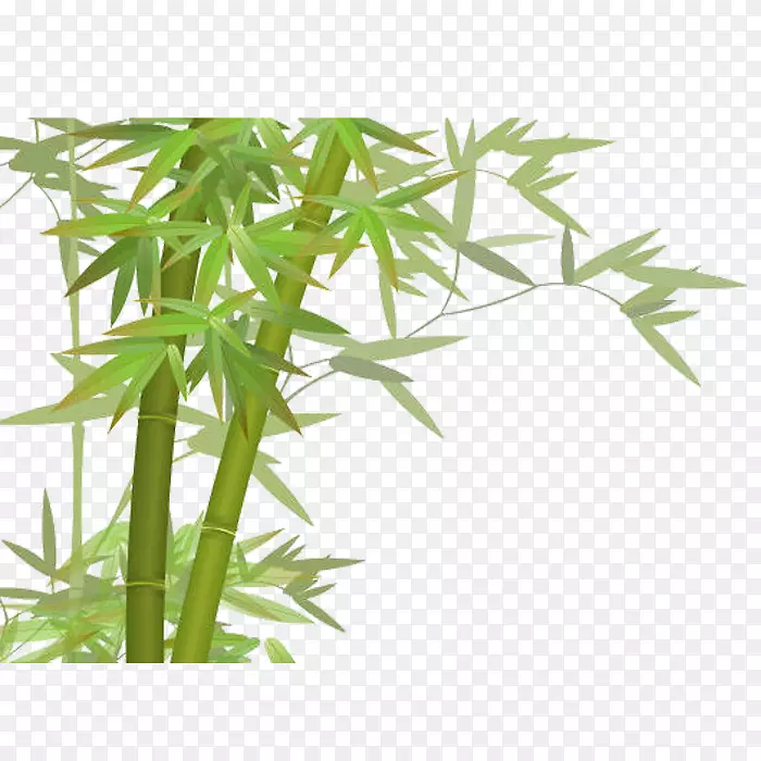 ������-������