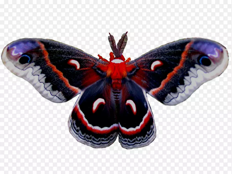 �������������ɶ�-����-������