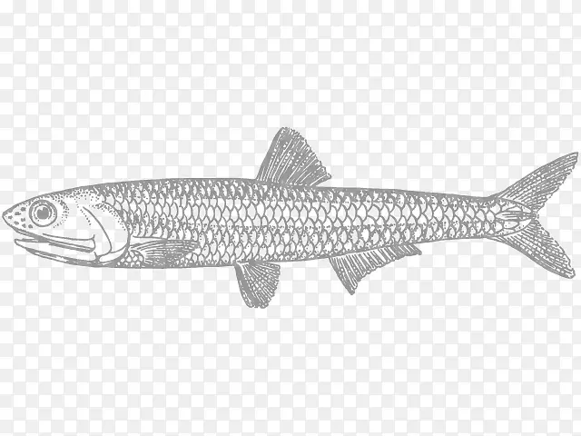 �ż�����ҵ�ź�ʳƷ������-������