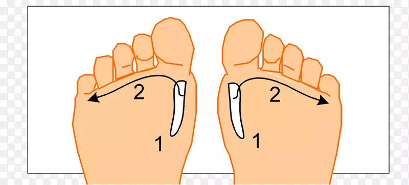 Ĵָ����ֺ���°͡���ա���ָ-������