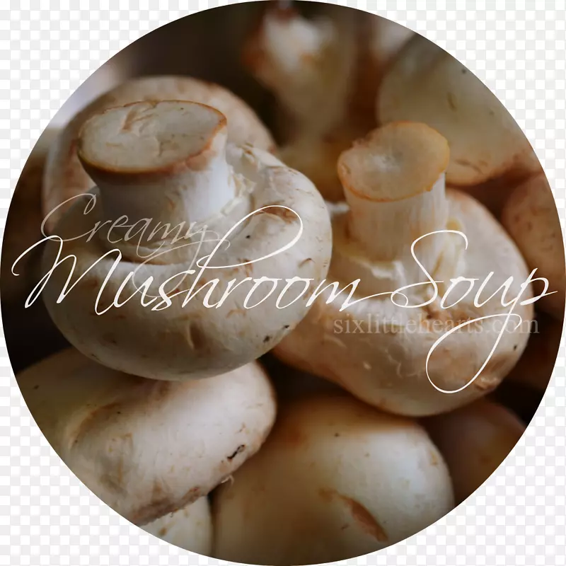 ʱ�в���Ty&MeʳƷ����-������