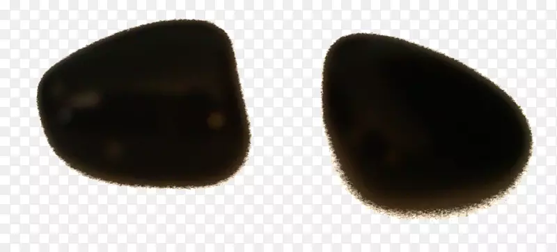 �鱦�������.���-������