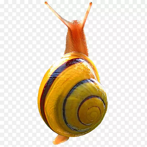 ��ţ½�������-������