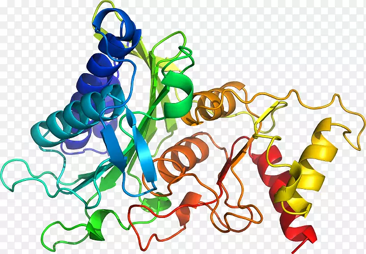 ���������л����߼�������-������