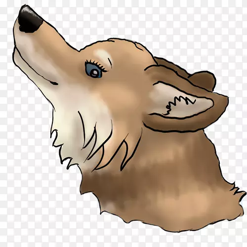 ���������°�צ��-������