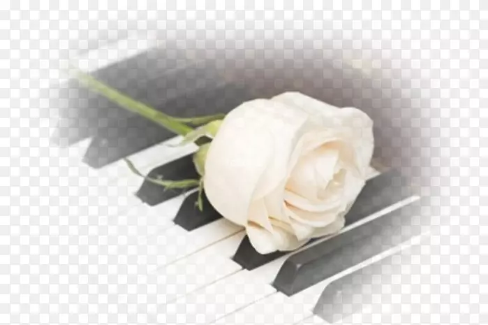 ������Ӱ���ּ���-����-������