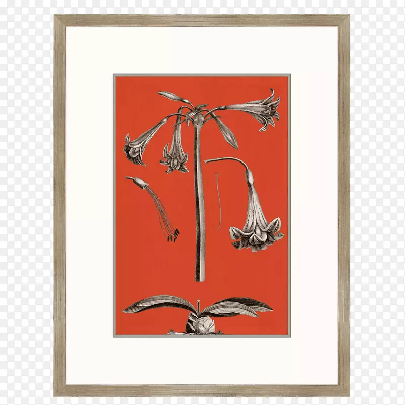 ����iv����������-������