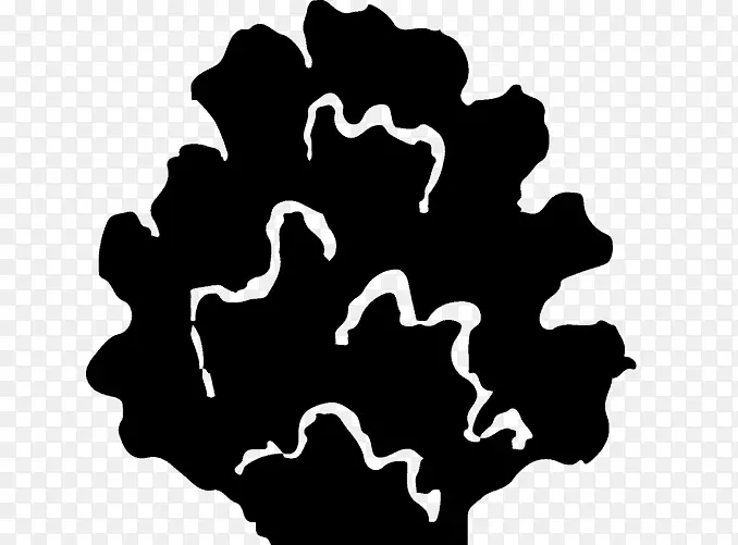 ��ɫ��ɫ����-��Ӱ-������