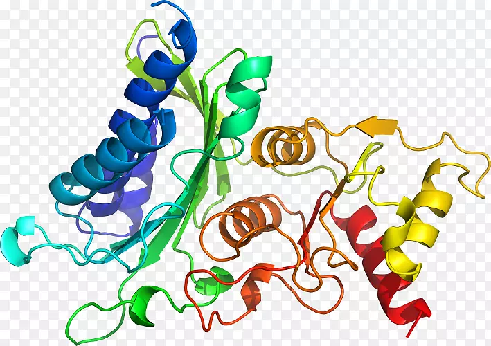 ƽ����������鱦�л�����������-������