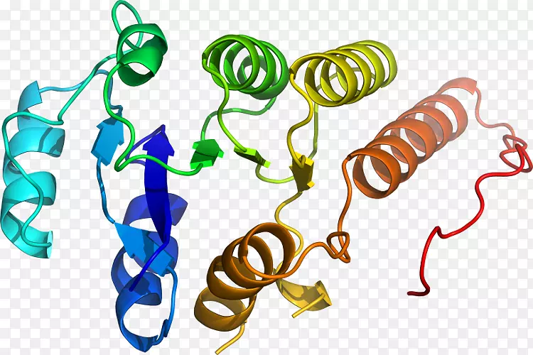 �����鱦�л�����������-������