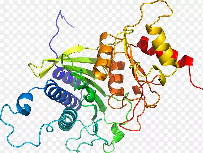 �ߵ������������-������