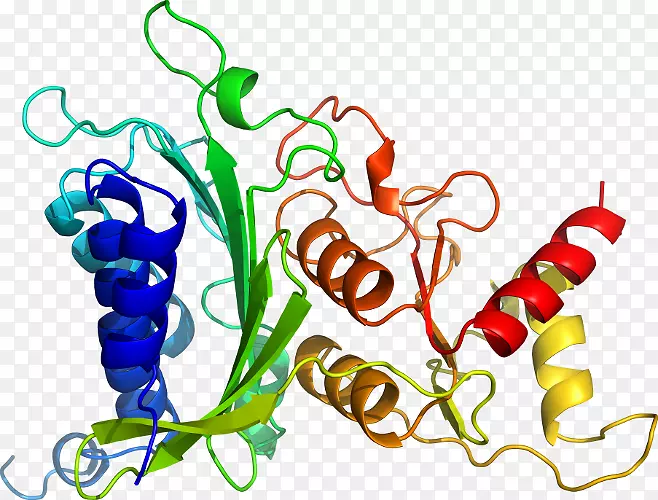 �߲��л���ϵ�м�����-�߲�-������