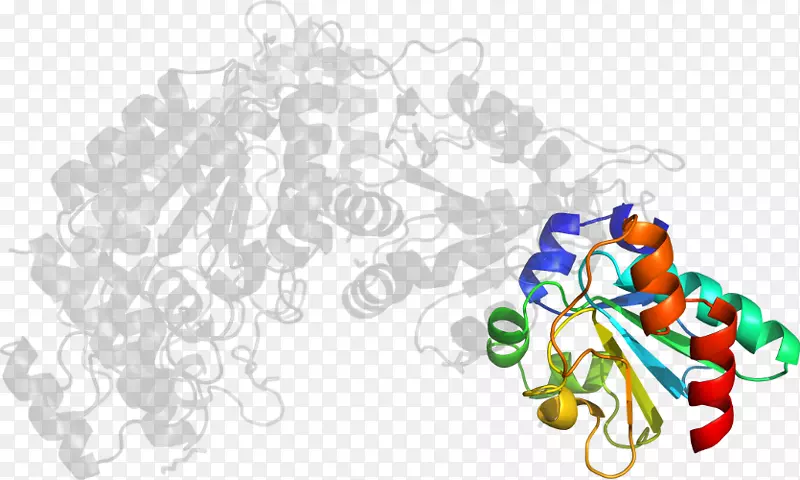 ƽ�����-���-������