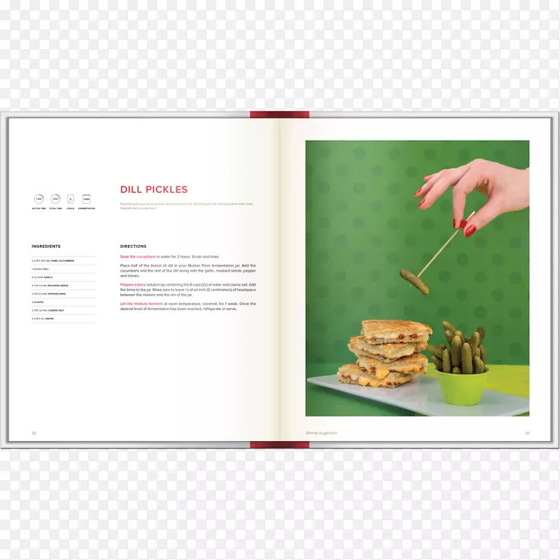 ���Ʒ���ʳƷ�ݲ��䷽-������