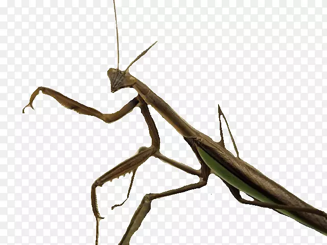 ������������-����-������