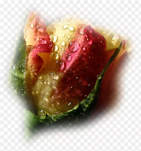 ����õ��ƽ��-������