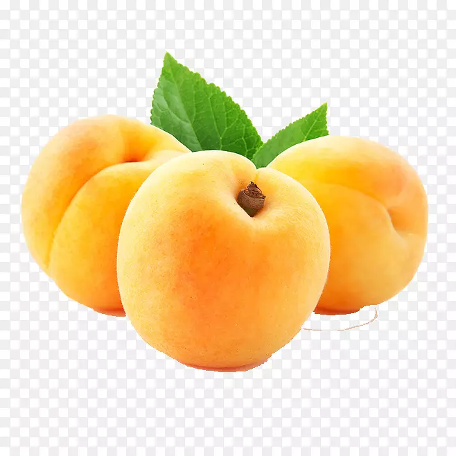 ��֭�л�ʳƷ���ҹ�����-������