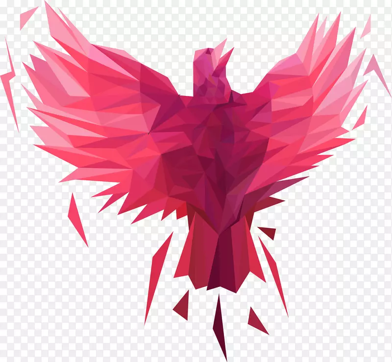 ��д�Գ�����-����-������