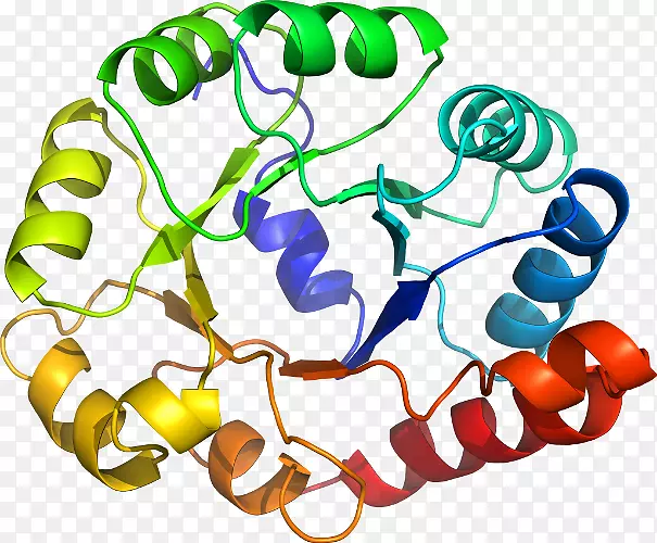 ���������л����߼�������-������