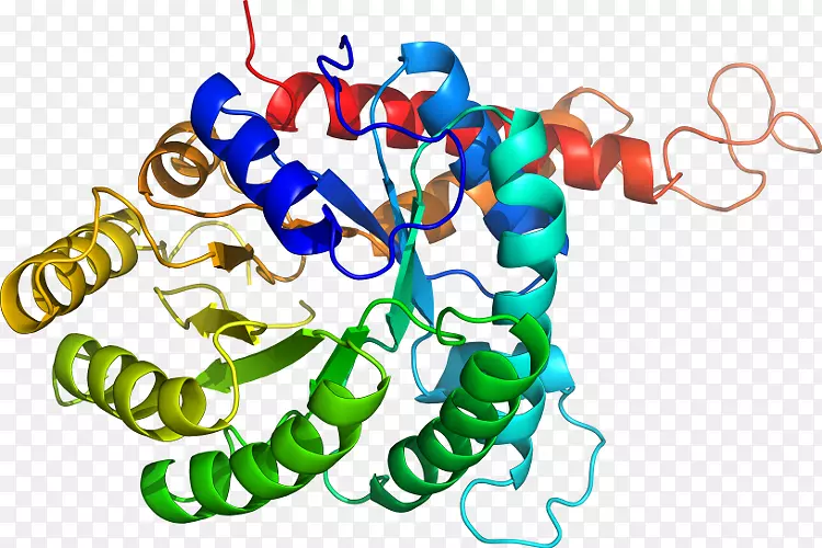 ���������л����߼�������-������