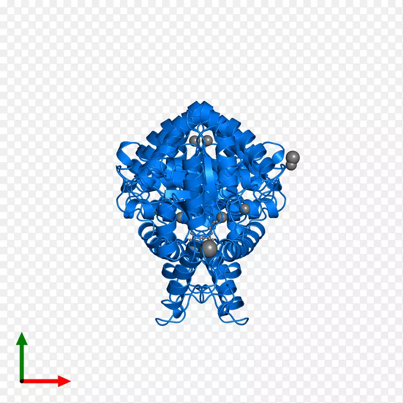 ���鱦����������-������