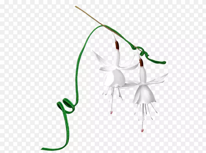 ����ͼ�����˲��ͼ�����-������