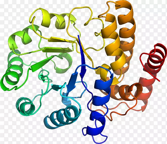 ���������л����߼�������-������