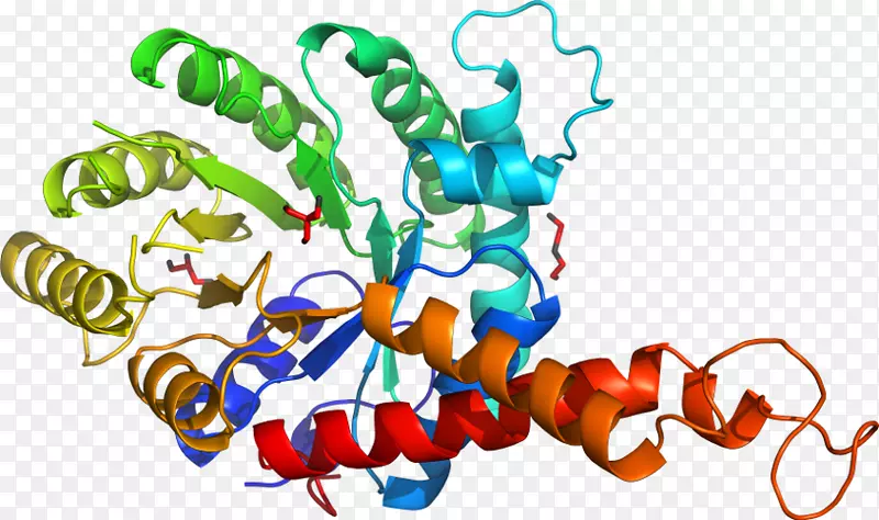 ����ͼ����ƴ���������������-������