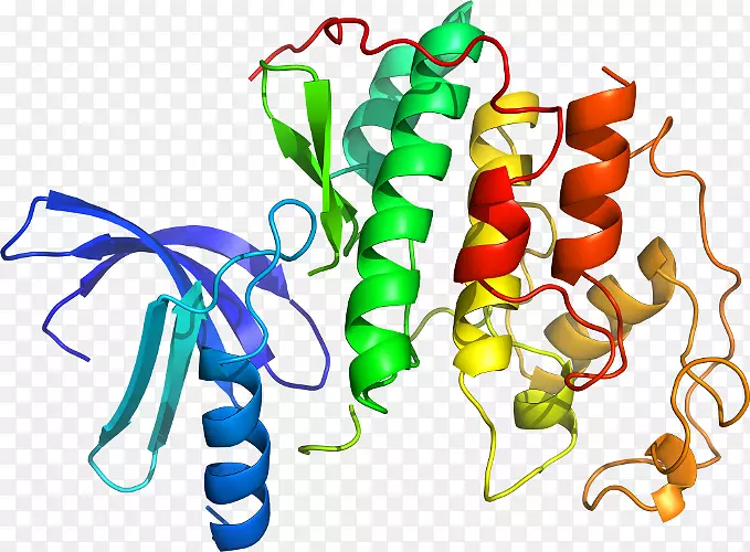 �߲˾��߼�����-�߲�-������