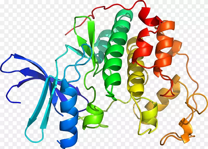 �����߶����������-������