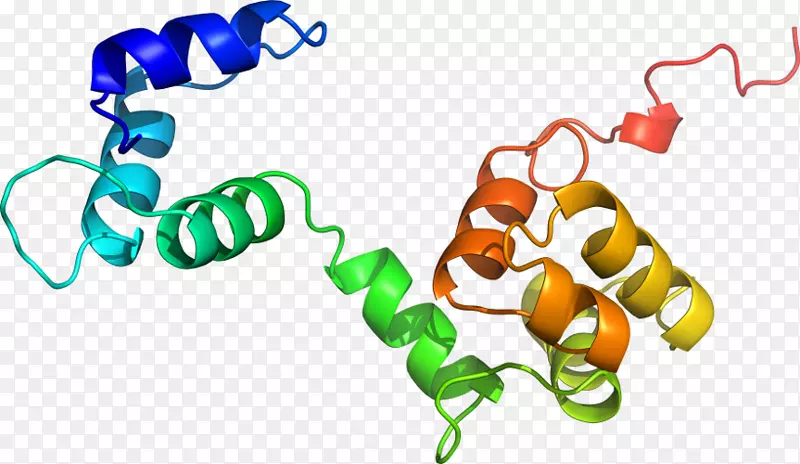 ���������л����߼�������-������