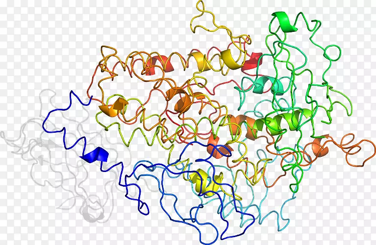 �ߵ������������-������