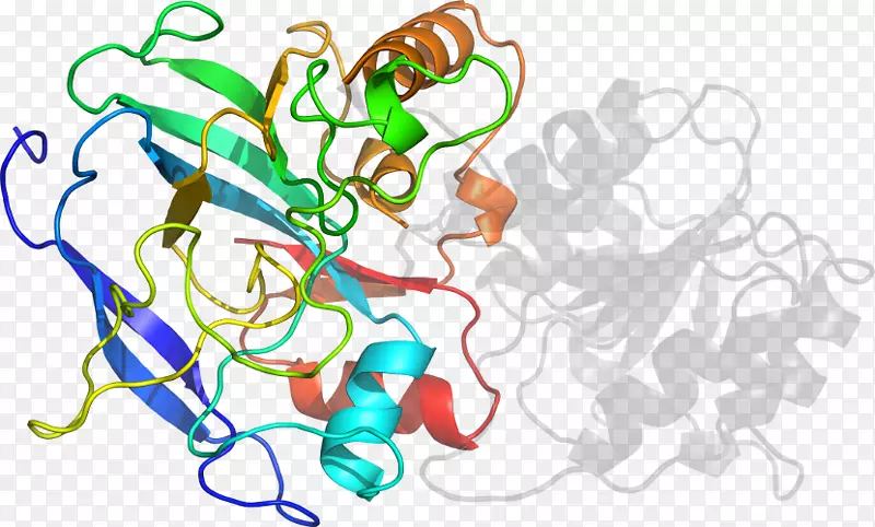 �����������������-������