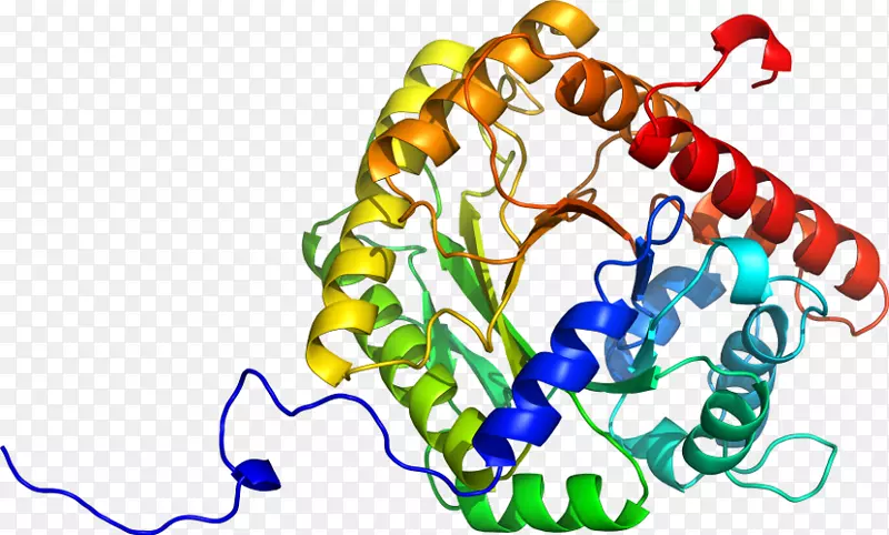 �ߵ������������-������