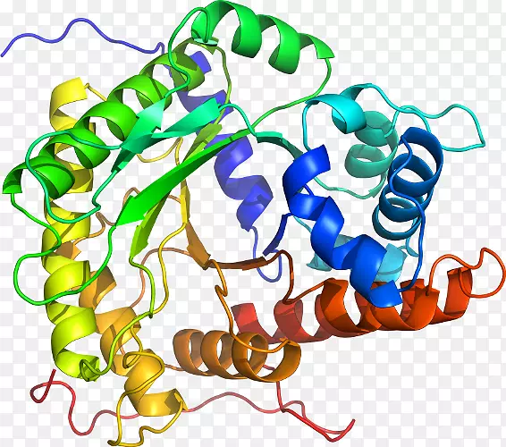 ���������л����߼�������-������