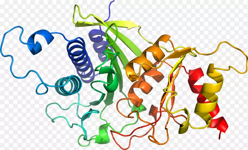 �߲�����������-�߲�-������