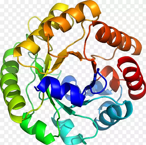 ���������л����߼�������-������