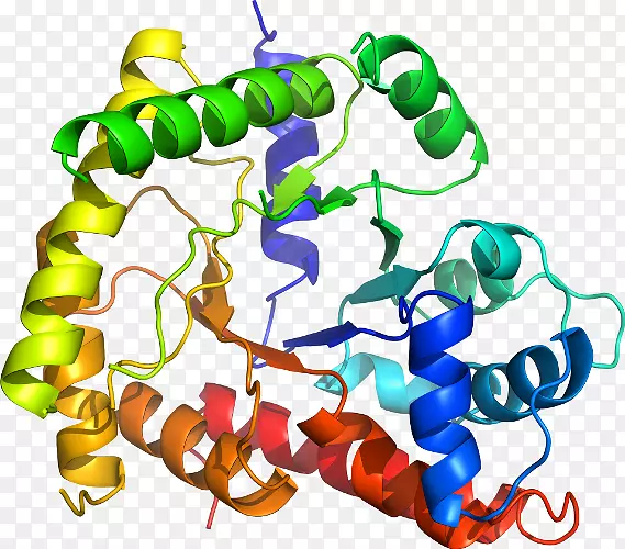 �����߶����������-������