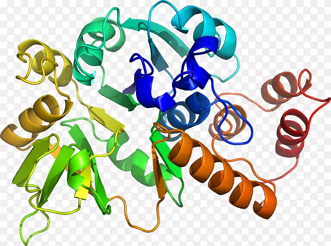 ���������л����߼�������-������