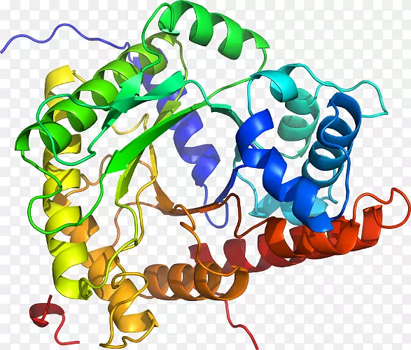 ���������л����߼�������-������