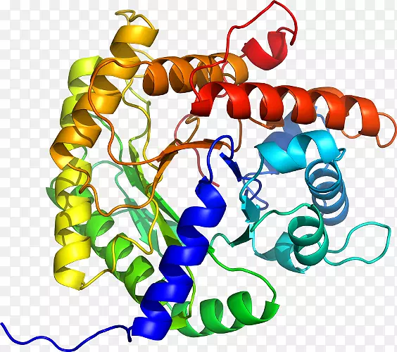 ���������鱦�л�����������鱦����-������