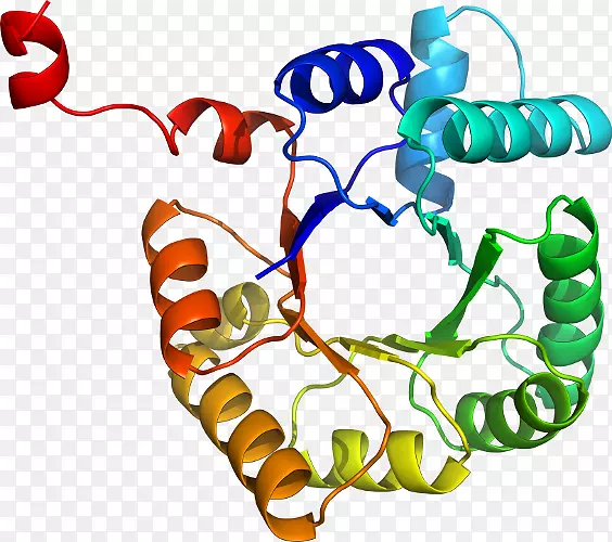 ���������л����߼�������-������