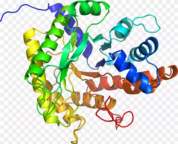 ���������鱦�л����߼�������-������