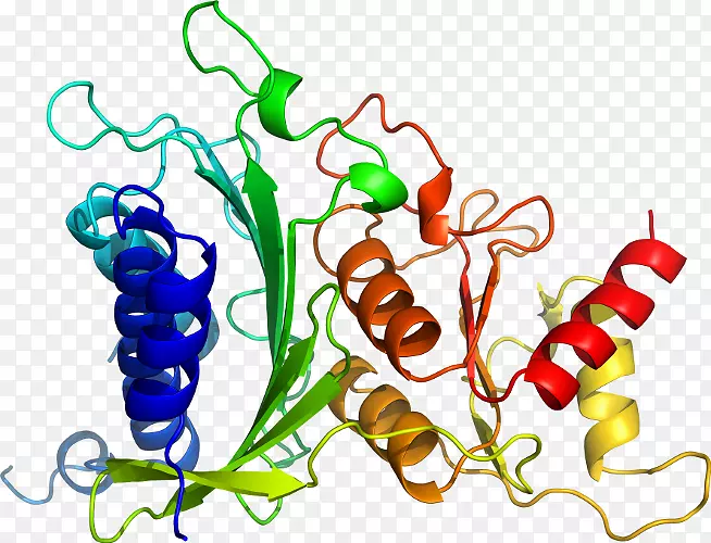 �߲��л���ϵ�м�����-�߲�-������