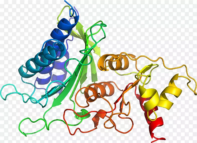 ���������л����߼�������-������