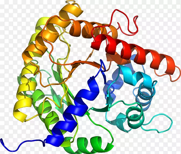 ���������л����߼�������-������