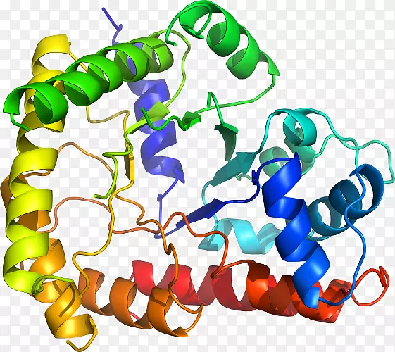 ���������л����߼�������-������